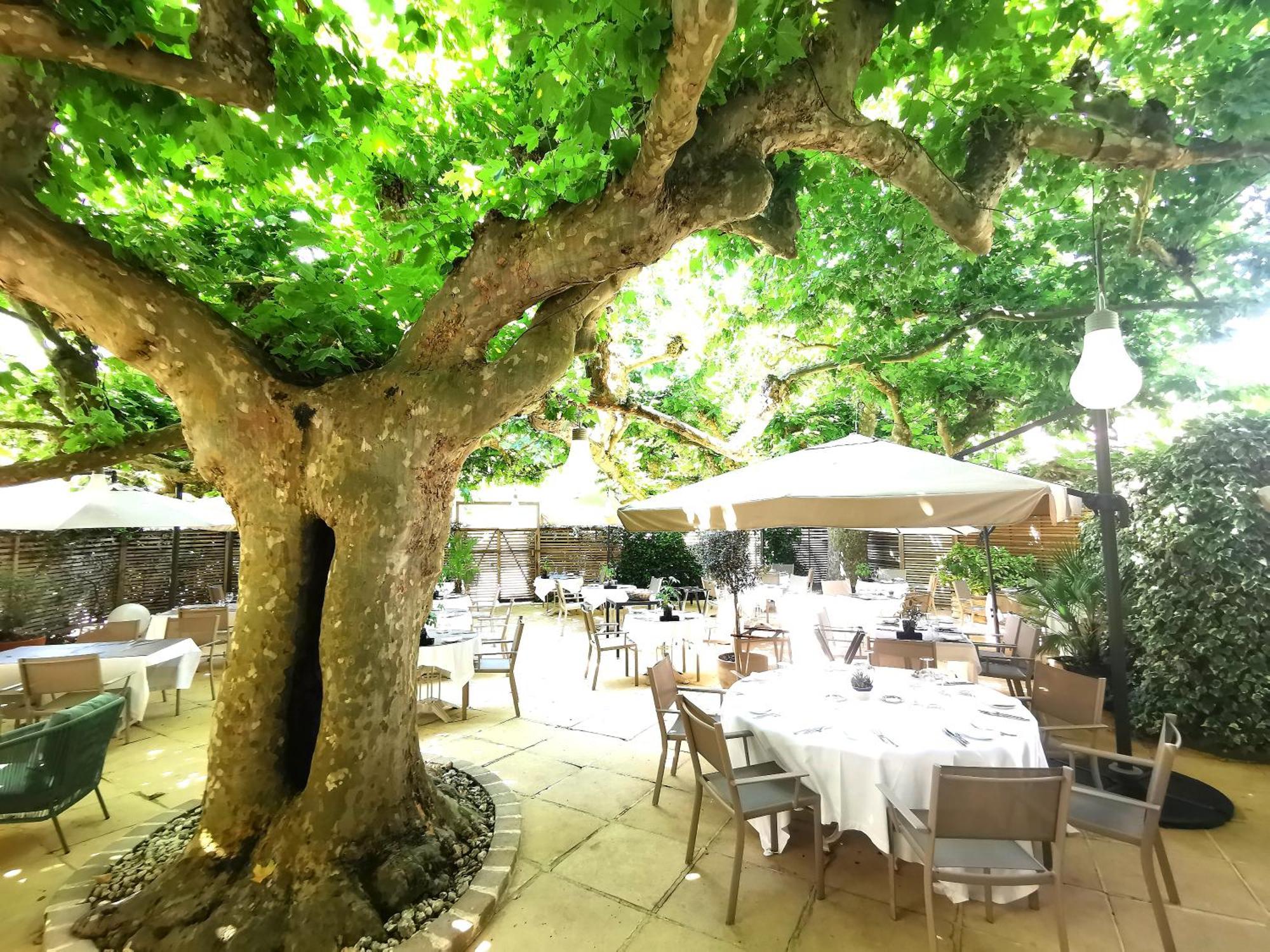Logis Hotel - Restaurant Maison Claude Darroze Langon  Exteriér fotografie